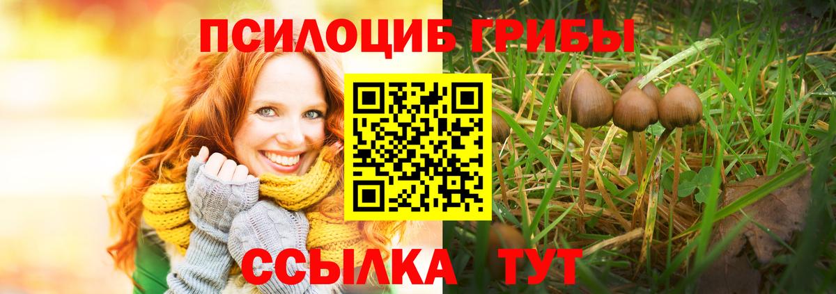 Галлюциногенные грибы Psilocybine cubensis Шебекино
