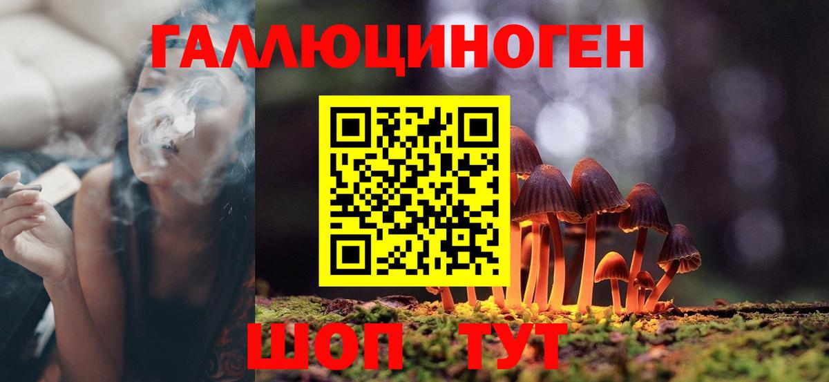 Галлюциногенные грибы прущие грибы  Вход с VPN  Шебекино 