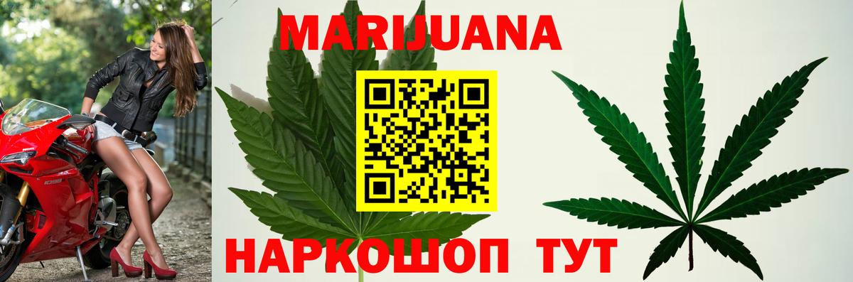 Канабис семена Шебекино